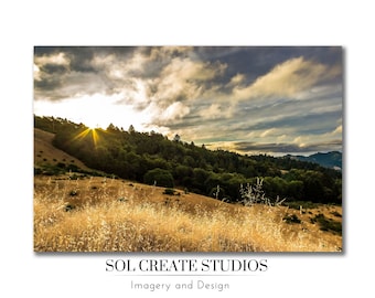 Amanecer sobre la cresta / Reserva natural estatal de Armstrong Woods, Arte de la pared del paisaje del amanecer, Golden Hills, Redwood Trees, Descarga digital