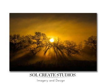 Oak Trees and Sun Rays | Vibrant Color Landscape Wall Art, California Digital Print, Up to 40"x60", Home and Office Decor, Housewarming Gift