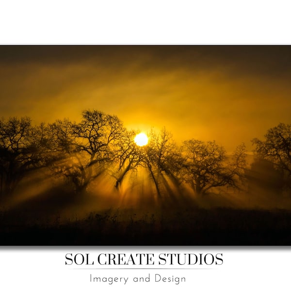 Oak Trees and Sun Rays | Vibrant Color Landscape Wall Art, California Digital Print, Up to 40"x60", Home and Office Decor, Housewarming Gift