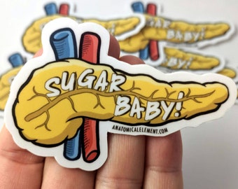 SUGAR BABY Anatomical Pancreas Vinyl Die-Cut Sticker