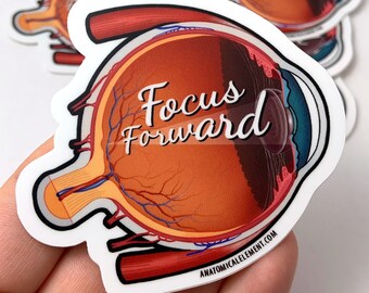 FOCUS FORWARD Anatomical Eyeball Vinyl Die-Cut Sticker