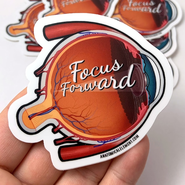 FOCUS FORWARD Anatomical Eyeball Vinyl Die-Cut Sticker