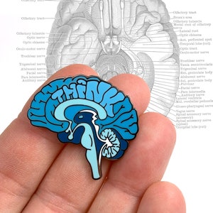SALE: THINK Brain Anatomical - HARD enamel pin