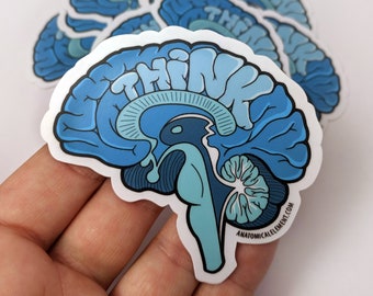 SALE: THINK Anatomical Brain Vinyl Die-Cut Sticker