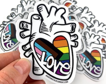 Progress Pride Flag - Anatomical Heart Sticker
