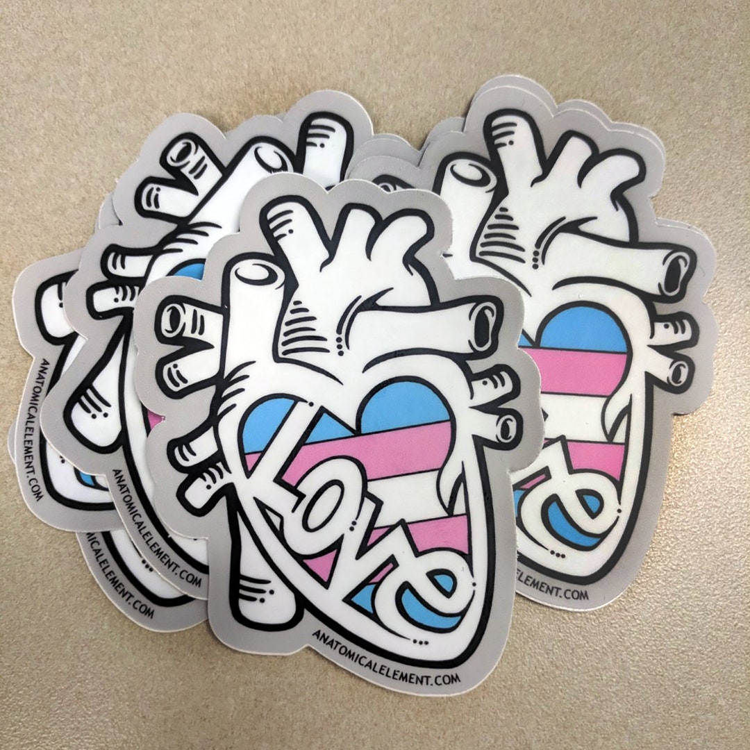 SALE: Trans Flag Anatomical Heart Sticker - LOVE is LOVE - Etsy