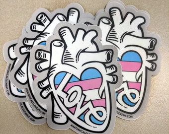 SALE: Trans Flag Anatomical Heart  Sticker - LOVE is LOVE