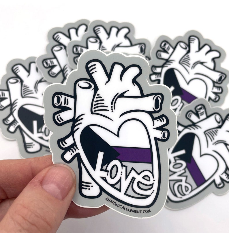 Demisexuelle Flagge Anatomisches Herz Pride Sticker Bild 1