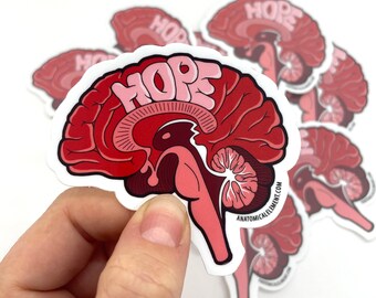 SALE: HOPE Anatomical Brain Vinyl Die-Cut Sticker