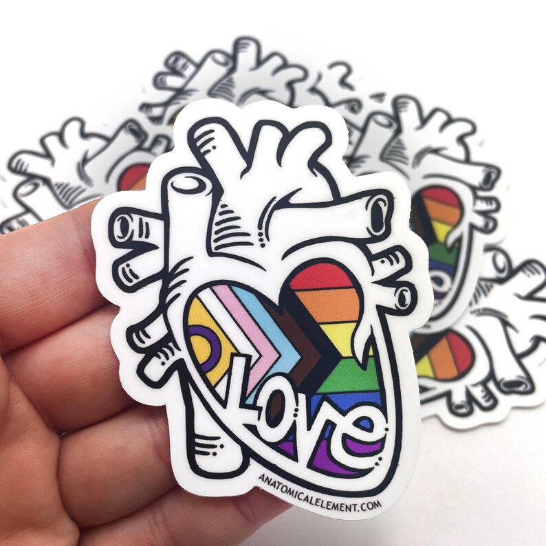 Inclusive Progress Pride Flag Anatomical Heart Sticker image 1