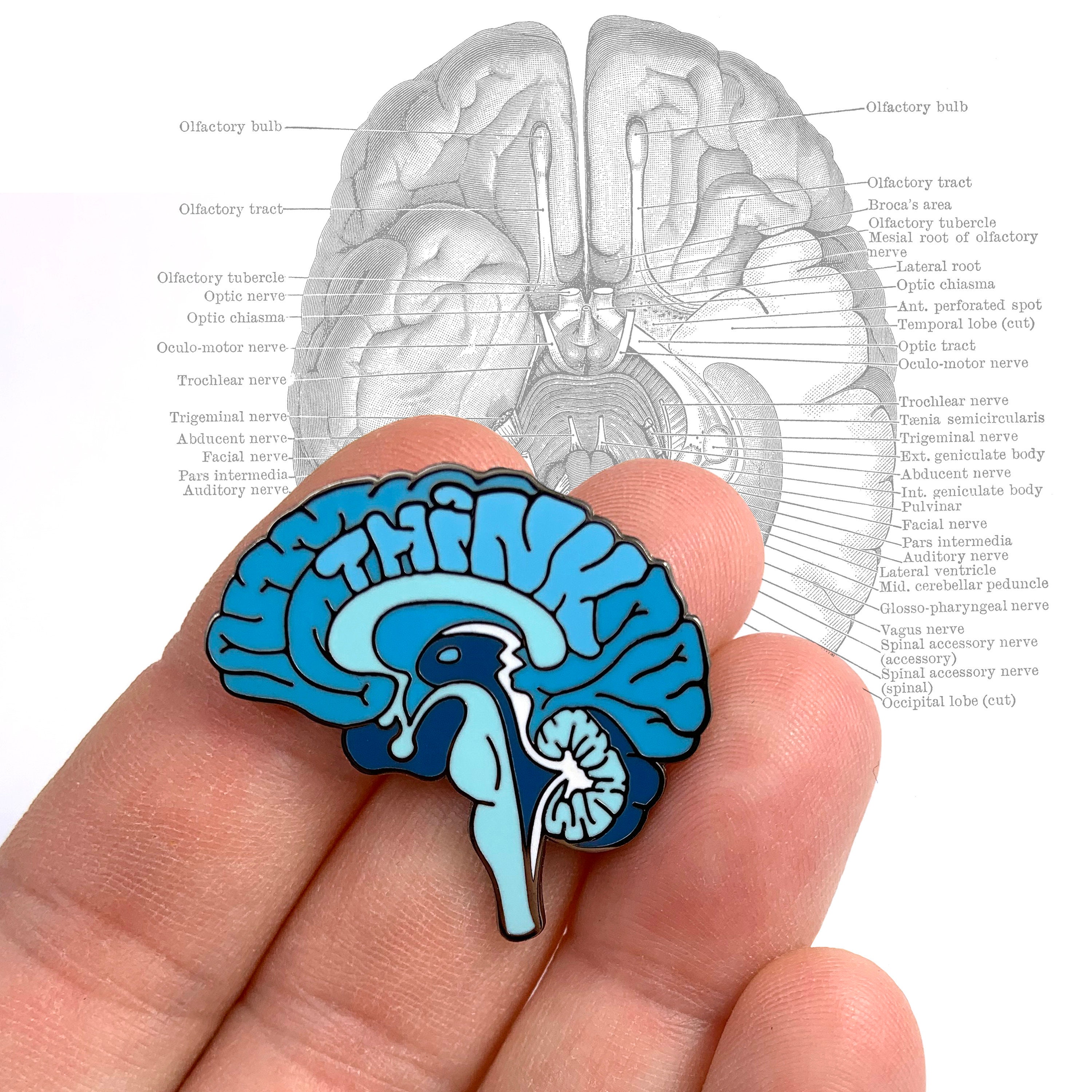 Pin on Brain Test
