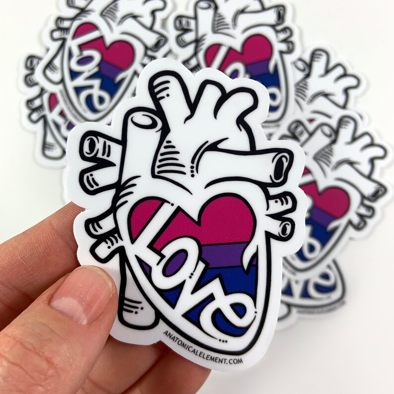 Bisexual Flag Anatomical Heart Pride Sticker image 1