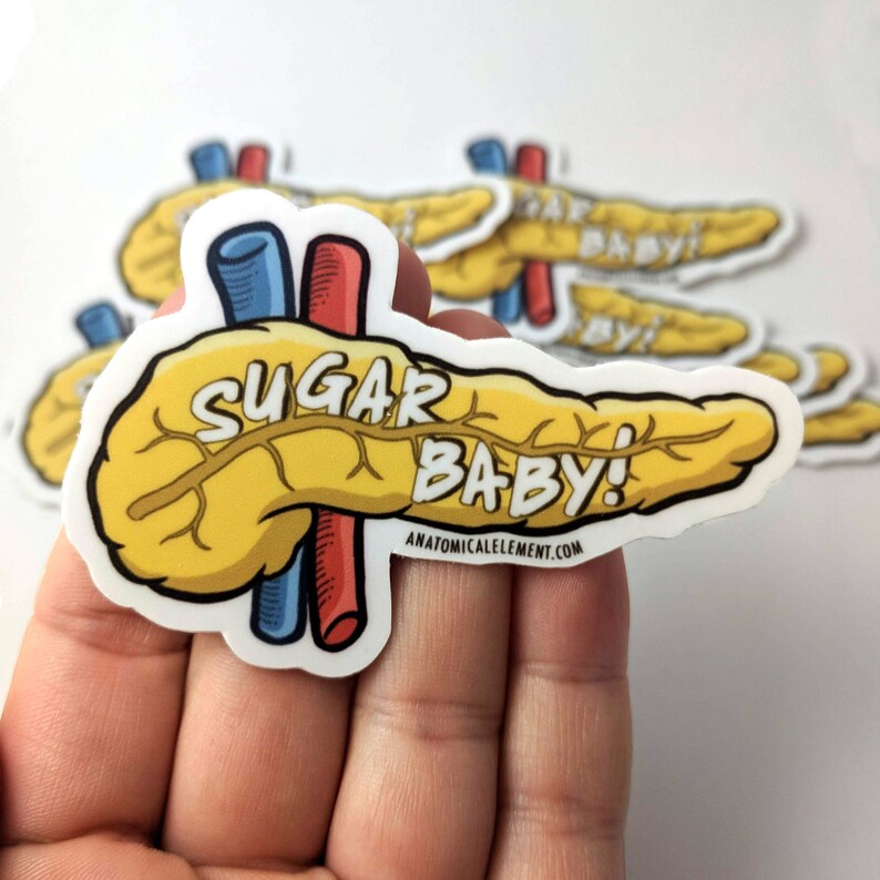 SUGAR BABY Anatomical Pancreas Vinyl Die-Cut Sticker image 1