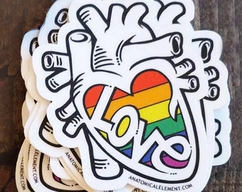 SALE: LOVE is LOVE Anatomical Heart Pride Sticker
