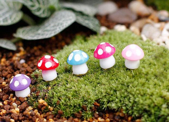 mushroom garden toy