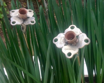 Jonquille petite, fleurs en clés et pièce de monnaie