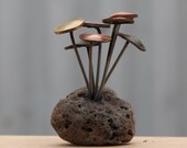 Rock mounted Fungi Money 7, coin mushrooms