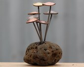 Rock mounted Fungi Money 8, coin mushrooms