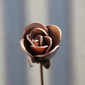 Copper Rose Bud, flowers in keys and coin,  SINGLE stem