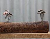 Timber mounted Fungi Money 11, coin mushrooms
