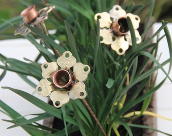 Daffodil Large, flowers in keys and coin