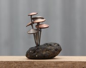 Rock mounted Fungi Money 1, coin mushrooms