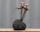 Rock mounted Fungi Money 3, coin mushrooms