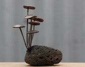 Rock mounted Fungi Money 4, coin mushrooms
