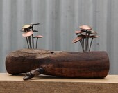 Timber mounted Fungi Money 10, coin mushrooms