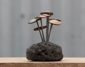 Rock mounted Fungi Money 2, coin mushrooms