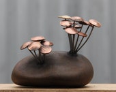 Rock mounted Fungi Money 9, coin mushrooms