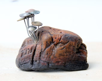 Fungi Money #39, coin mushrooms