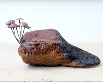 Fungi Money #36, champignons à pièces