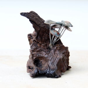 Puede incluir: Un pequeño trozo de madera a la deriva con un grupo de setas plateadas y de cobre unidas a él. Las setas están dispuestas en un racimo y tienen un aspecto rústico y natural.