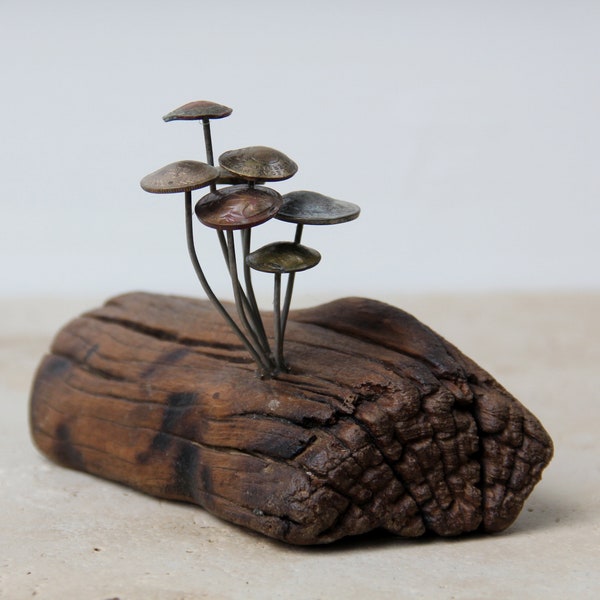 Fungi Money #37, coin mushrooms