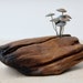 see more listings in the mushrooms section