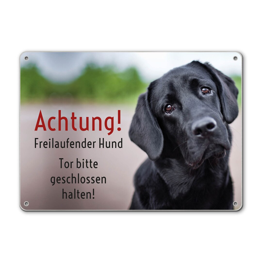 Weihnachtsgrußkarte „Special Friends“ Mit Hunde-Motiv & Rotem Briefkasten – Goldgeprägt, Inkl. Umschlag (155 X 230 Mm)