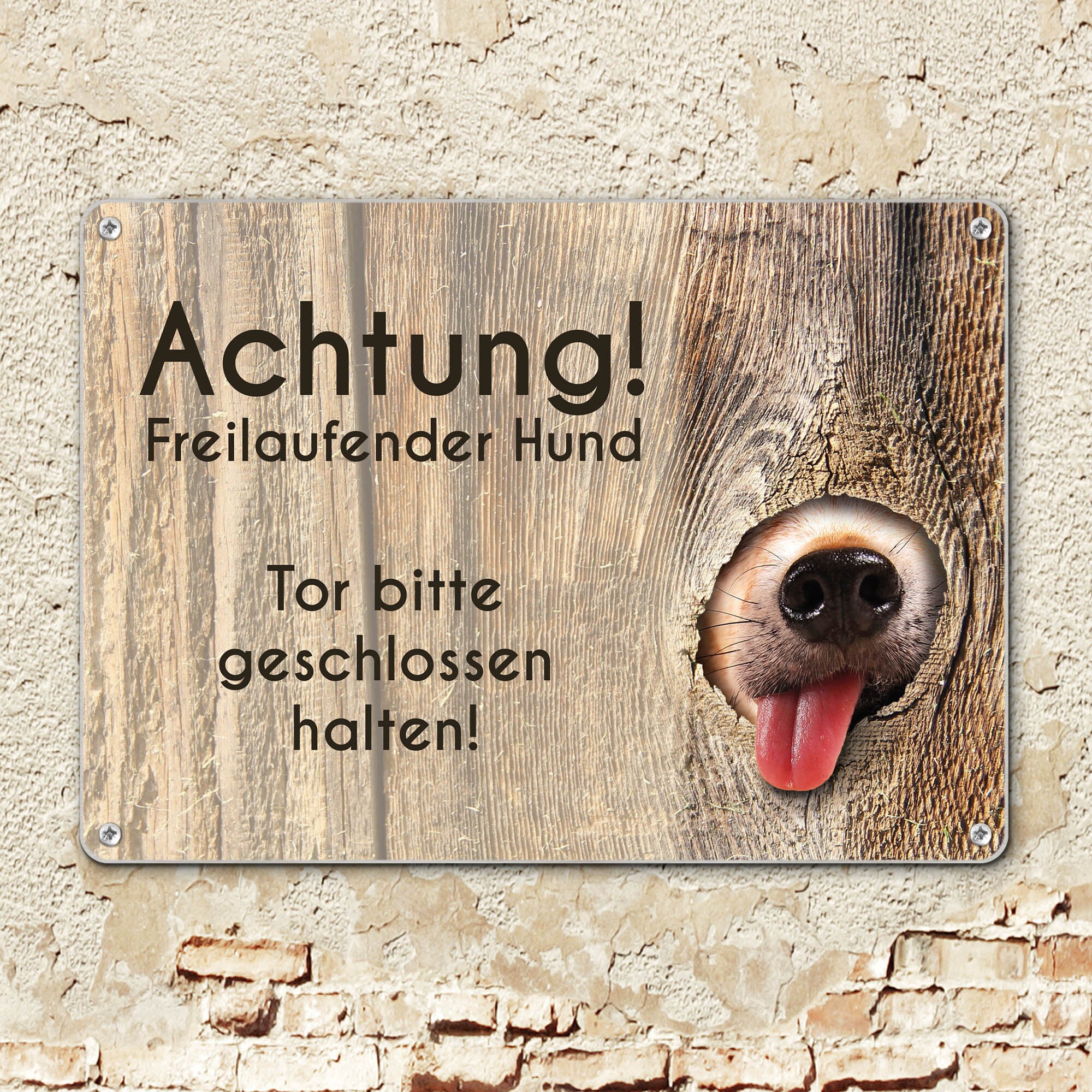 Komma Security Warnschild Hund - Achtung Hund Betreten Verboten