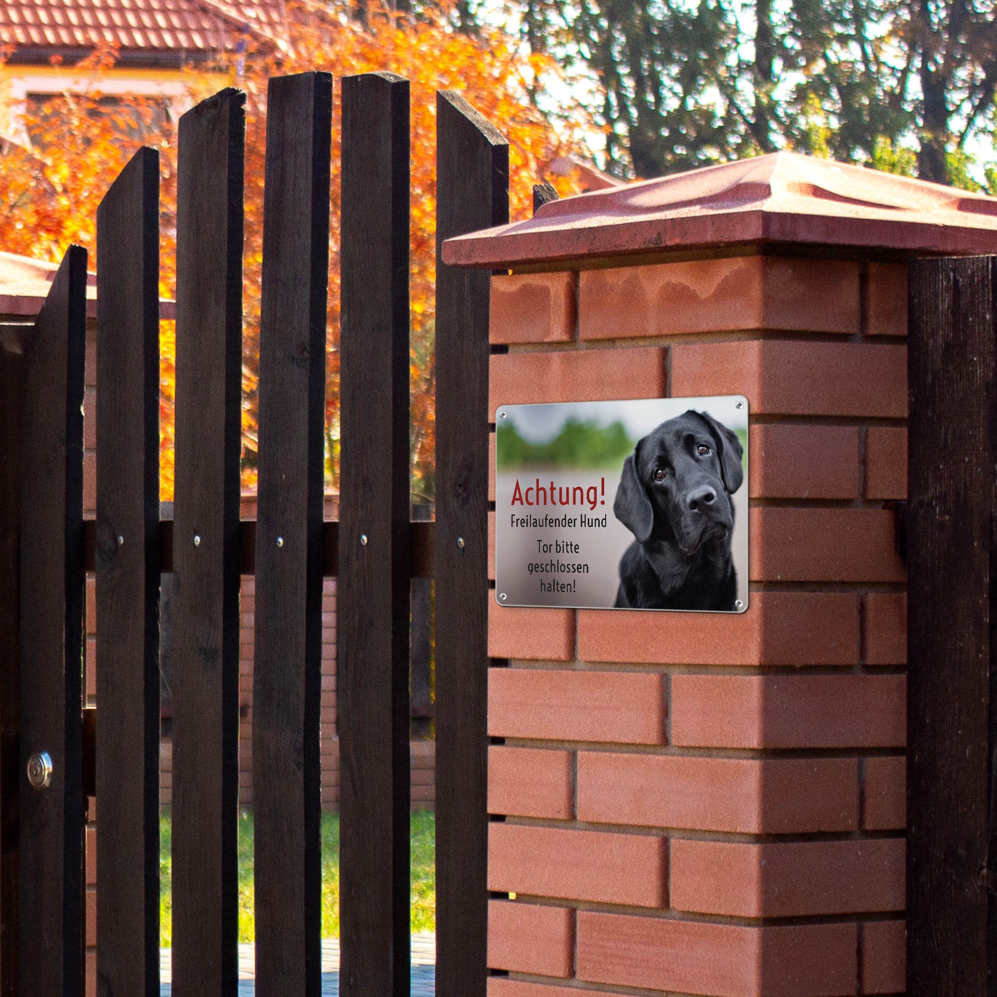Warnschild „Freilaufender Hund“ – Gebürstetes Alu, 25x9 Cm, Reflektierend, Für Garten, Zaun & Tor, Schwarz-weiß