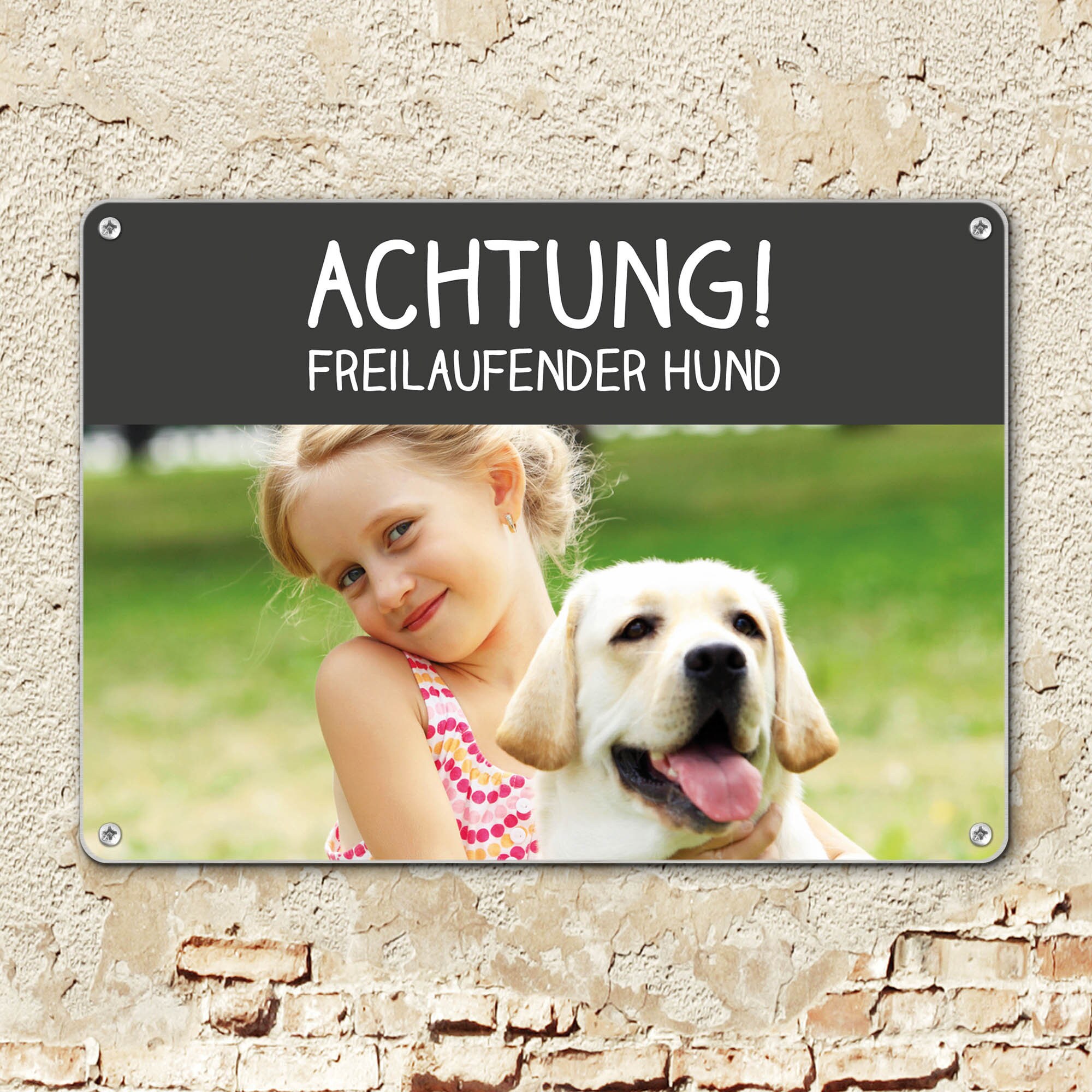 Mygoodprice Schild 'Achtung Vor Dem Hund' – Personalisierbar, 13x4 Cm, Aluminium