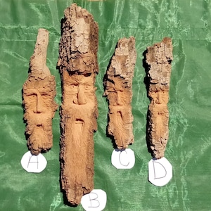 Cottonwood Carvings, Forest Spirits, Faces,Wall Hangings, Each one has a Name and is Unique, Stainless Steel D hanger on back, SW New Mexico