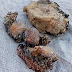 May include: Close-up of several pieces of pale brown resin with a rough, textured surface. The resin has a slightly translucent quality and appears to be dried.
