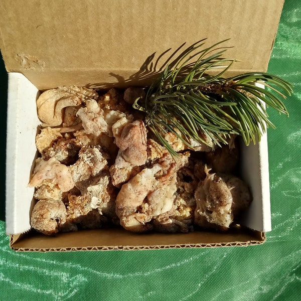 Piñon Pine Tree Sap/Resin from South West New Mexico Soft/Sticky: Multi Use, Burn for Incense or Melt to add to Salves 1oz.-2lbs. Options