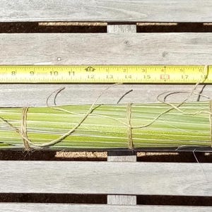 May include: A bundle of dried, light green grass tied together with twine. The bundle is approximately 24 inches long.