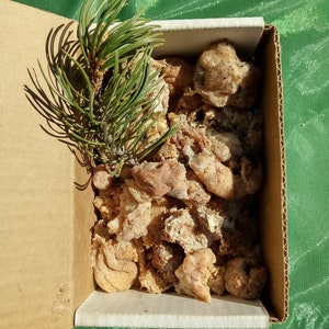 Piñon Pine Tree Resin/Sap/Resin from South West New Mexico Soft/Sticky: Multi Use, Burn for Incense or Melt into Salves 1oz.-2lbs. Options