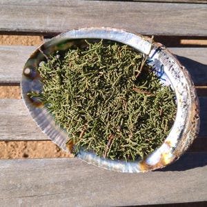 May include: Abalone shell filled with dried green foliage, resting on a weathered wooden surface. The shell's iridescent interior contrasts with the textured greenery, creating a natural, earthy aesthetic. The shell is approximately 6 inches in diameter.