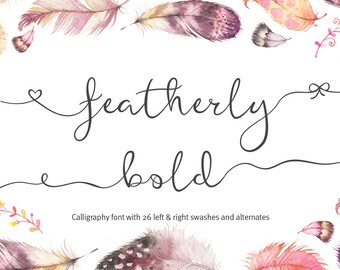 Script font - featherly Font bold - Calligraphy font - elegant typeface Wedding font - photography logo
