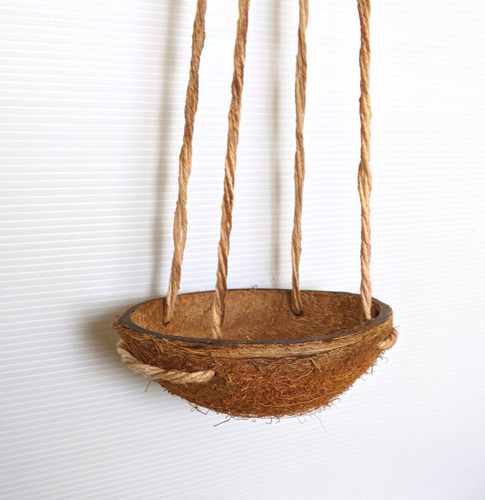 Coconut hanging pot planter decoration Etsy