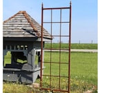 Artículos de esta tienda