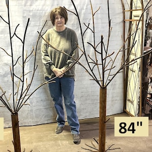 Our Biggest 84"t Wrought Iron Bottle Tree - Woodsy Yard Decoration - Garden Art - Wine Decanter Patio Stake - Rustic Metal Structure